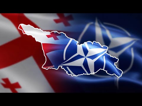 NATO: ზომები მიღებულია, რომ  ბოსნიის და საქართველოს თავდაცვისუნარიანობა იყოს ადექვატური 04 03 2022