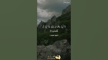 آيات بينات من سورة الذاريات ❤️🇩🇿