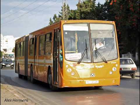 Copie de LES LEADERS DU TRANSPORT EN TUNISIE