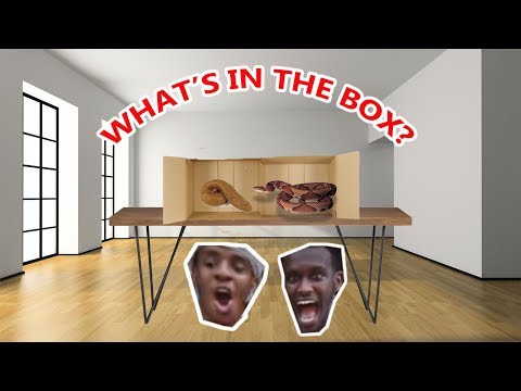 embarrassing-what's-in-the-box-challenge-prank-on-friend-!!!-(nasty)