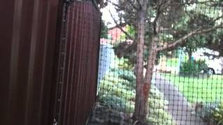 Side Alley Cat Enclosure To Impress