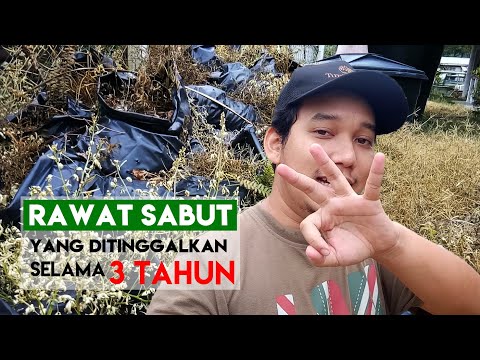 Video: Adakah ia bagus untuk disemai selepas pengudaraan?