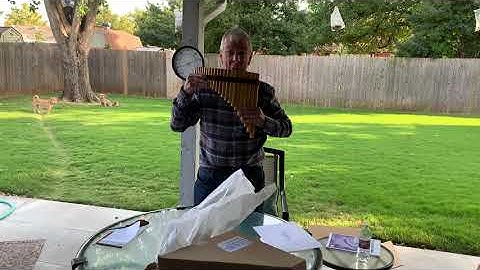 Learning My Pan Flute - Day 1