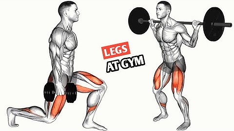 Killer Gym Leg Workout | Build Quads, Hamstrings & Glutes