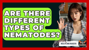 Are There Different Types Of Nematodes? - Insects and Invaders