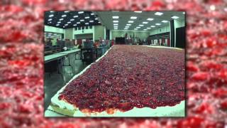 1200 Square Feet of Cake time lapse