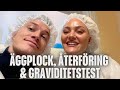 ÄGGPLOCK, ÅTERFÖRING & GRAVIDITETSTEST (IVF-RESA del 3) image