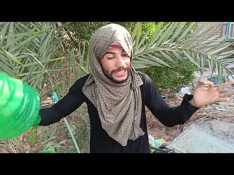 ههههه شوفو شليشه تريد مايه حمايد ما يجبلهي لا اليك وشتراك