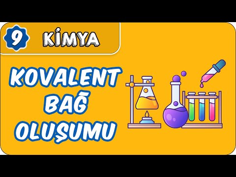 Video: Aktinidinin Oluşumu Ve Biyokimyasal Kompozisyon