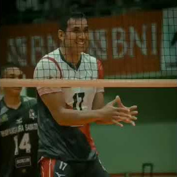 Story wa volley ball