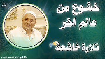 تلاوة خاشعة تهزّ الوجدان | سورة الإنسان كما لم تسمعها من قبل 🎧💔😭📖 الشيخ عماد هويدي