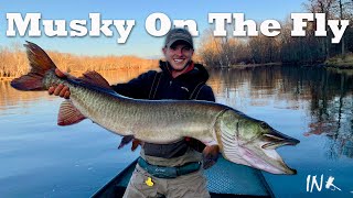 GIANT Musky On The Fly!