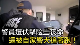 警员崩溃到哭了！被伏击险些丧命，还被警犬追咬！