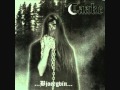 Taake - Over Bjoergvin Graater Himmerik 3