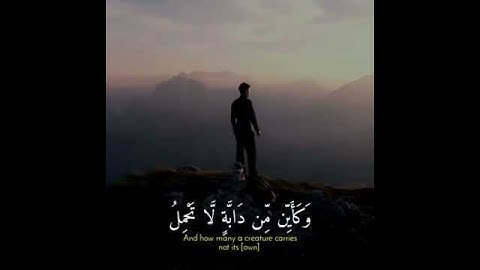 قرآن كريم للقارئ عبد الرحمن مسعد