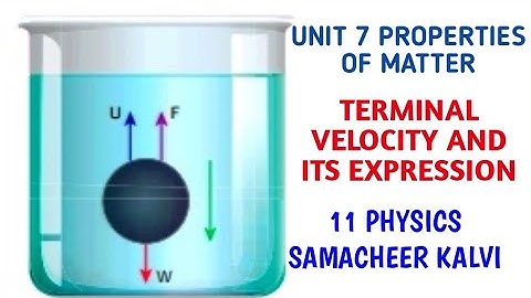 Terminal velocity and its expression | Unit 7 Properties of matter | 11 Physics Samacheer kalvi.