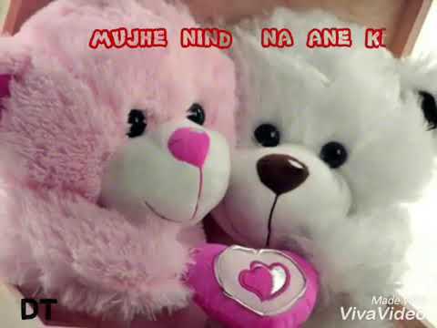 cute teddy bear whatsapp status new whatsapp status special teddy