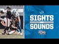 Sights and Sounds | 2020 Week 13 Detroit Lions at Chicago Bears