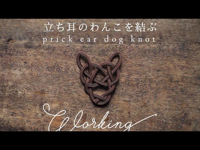絹巻き水引パーツ 犬 高級感あふれる❤️絹巻水引❤️紺ネイビー❤️