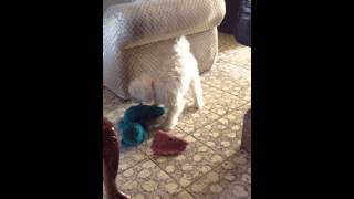 IMG 4653