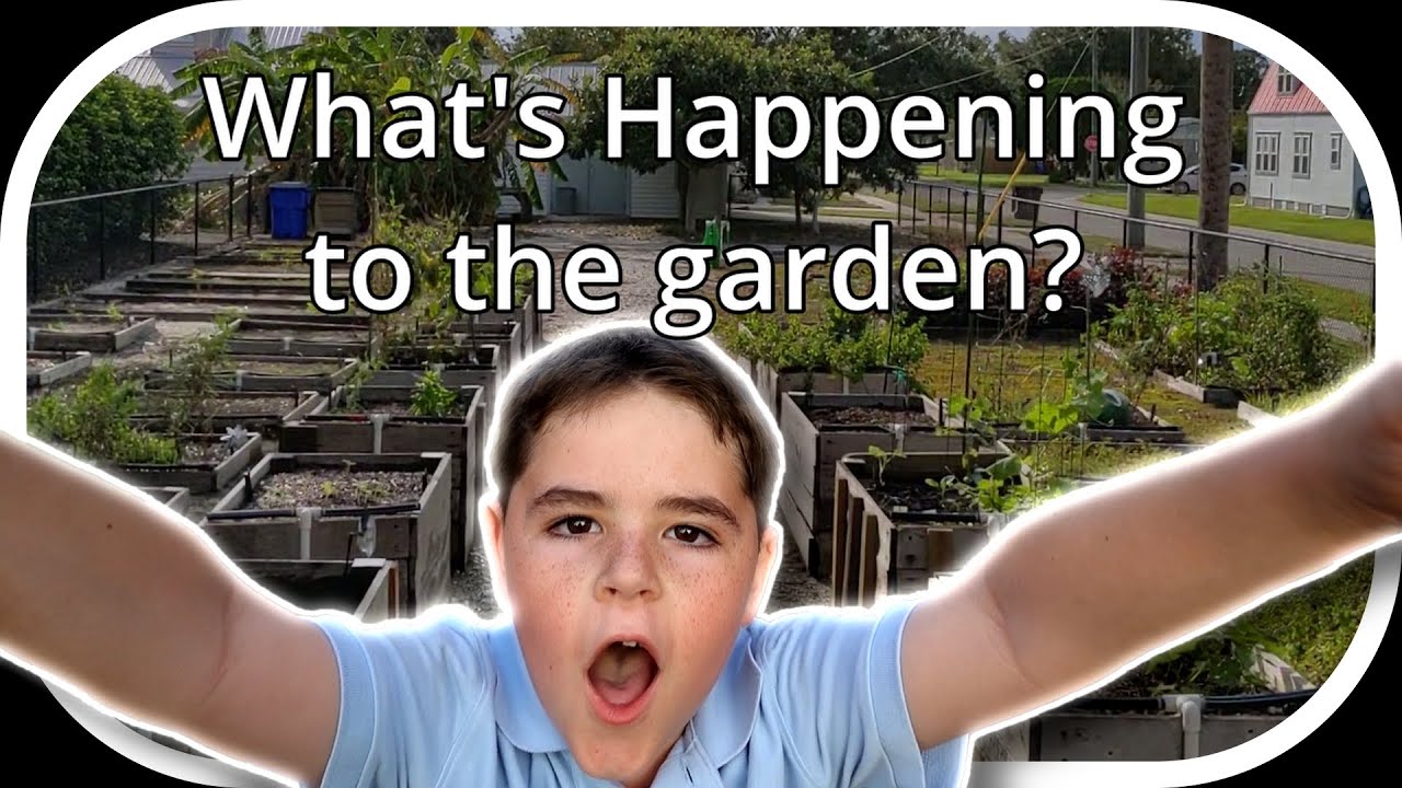 Nathan Investigates!