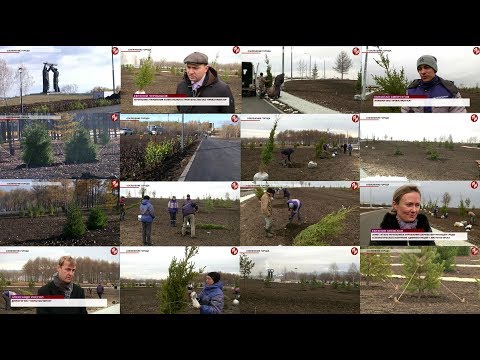 Время местное Эфир: 17-11-2017 - Озеленение города