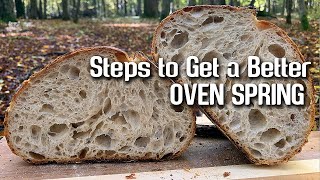 BETTER OVEN SPRING, how to get . Step by step OVEN SPRING. | by JoyRideCoffee