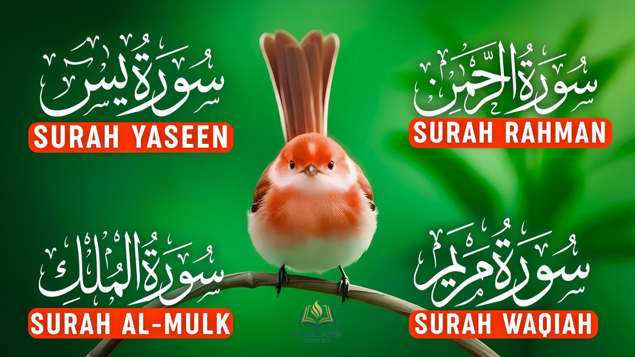 Beautiful Quran Tilawat, Surah Yaseen, Surah Rahman, Surah Waqiah, Surah Mulk by Alaa Aqel - EP-47