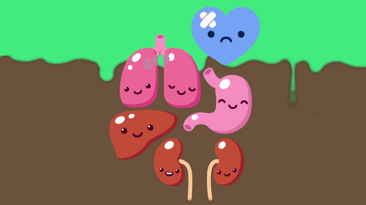 Plastic - Menace On Health