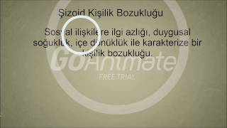 Hatice Erdoğan - Final Ödevi