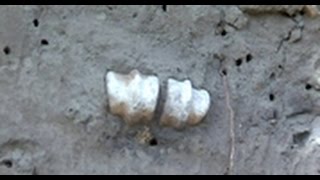 Alberta's flood in 2013 revealed pieces of the past