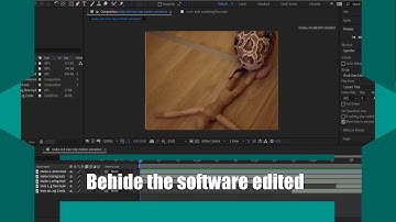Snake and man Adobe After Effects editing guide