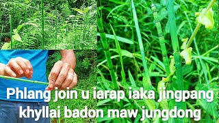 Une u phlang join u iarap iaka jingpang khyllai basuh jungdong, badon maw bad kiwei kiwei.#69