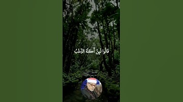 #تلاوة نادرة ومؤثرة للشيخ الجليل سيد سعيد من سورة يوسف تلاوة تهز القلوب#اسلاميات #راحة_نفسية #لايك
