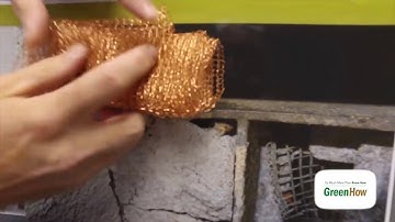 Rodent Exclusion Video