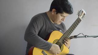 Video thumbnail of "UNA PALOMA SOBRE UNA RAMA - Guitarra ayacuchana - coracoreña"