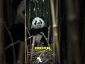 Bambú: ¿Nutritivo Aún? 🐼