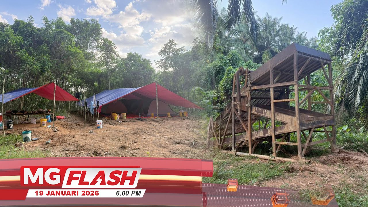 Sindiket Melombong Emas Guna Jengkaut Di Gua Musang Tumpas 