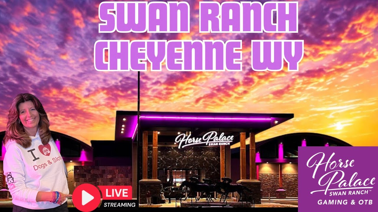 Swan Ranch LIVE WYOMING GAMING🚨SWAN RANCH HORSE PALACE CHEYENNE 🚨 #live #swanranch ...