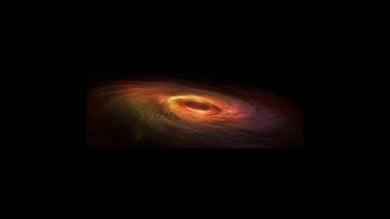 Black Hole Accretion Disks