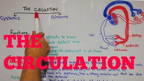 CVS physiology 53. The circulation,  functions of circulation, functional parts of circulation.