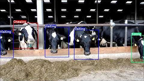 Computer Vision for Precision Livestock Farming