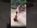 Elephant Cries After Rescue 😢 Heartbreaking Moment Caught on Camera #elephantconservation #elephant