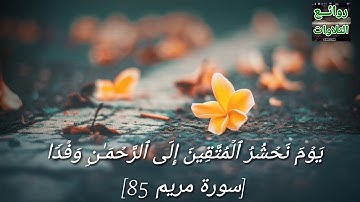 اروع واجمل تلاوة بصوت الشيخ عبدالرحمن مسعد..💗حالات واتس اب قران
