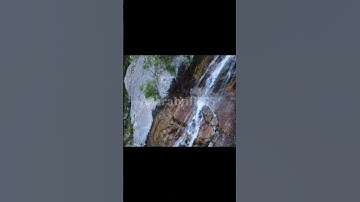 زبير الغزوي. (سورة الناس)