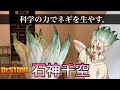 【Dr.STONE】美容師が千空の髪型を本気で再現してみた / How to make Senku's hair
