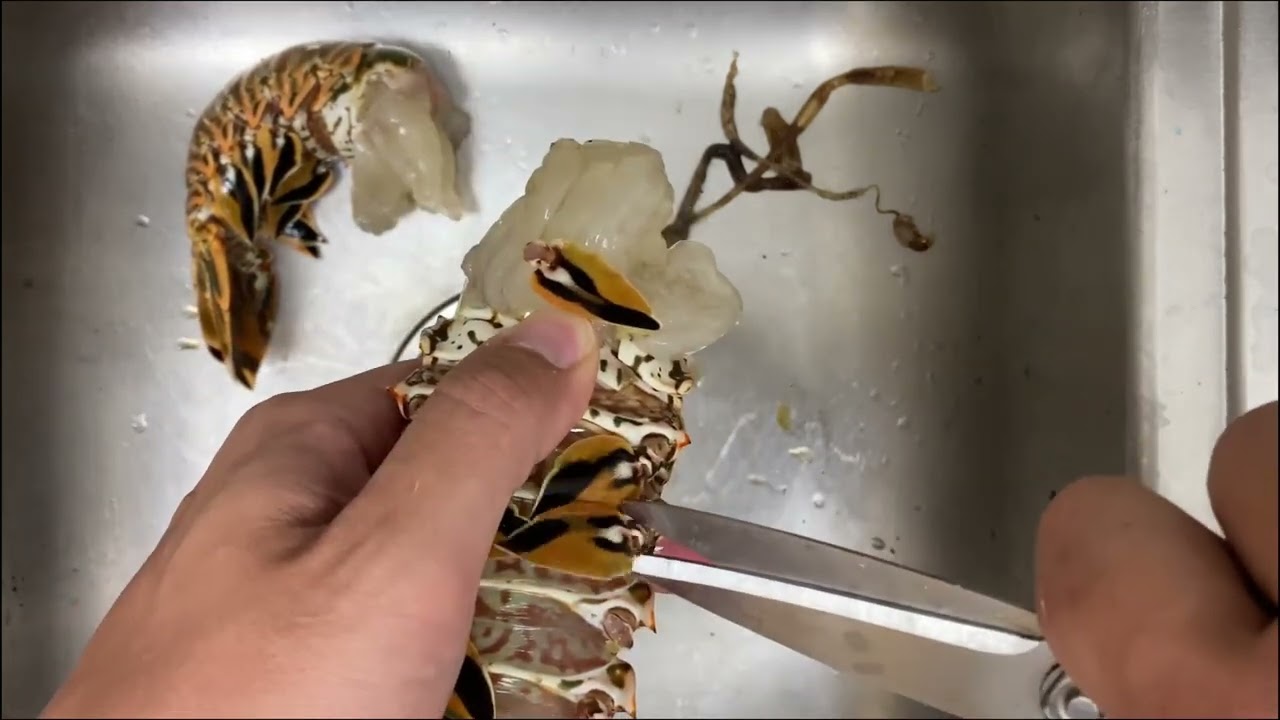 HOW TO VACUUM SEAL SPINY LOBSTER EASY YouTube