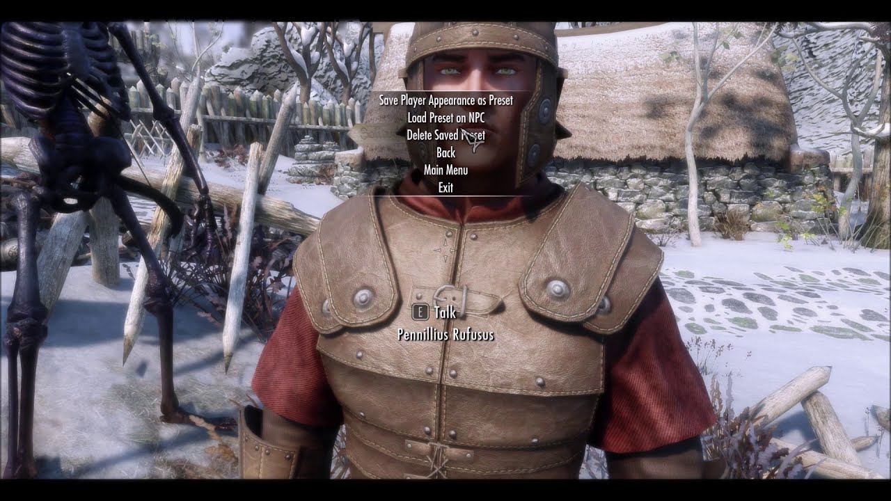 skyrim npc editor in game