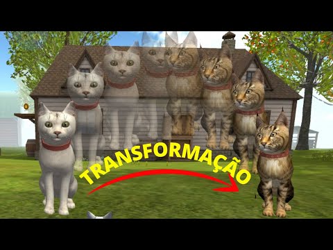 Cat Sim Online #01 - O Gatinho Mais Fofo Do mundo - Simulação de