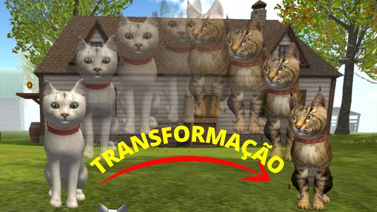 VIREI PAPAI DE UM BEBÊ GATO NO CAT SIMULATOR! 